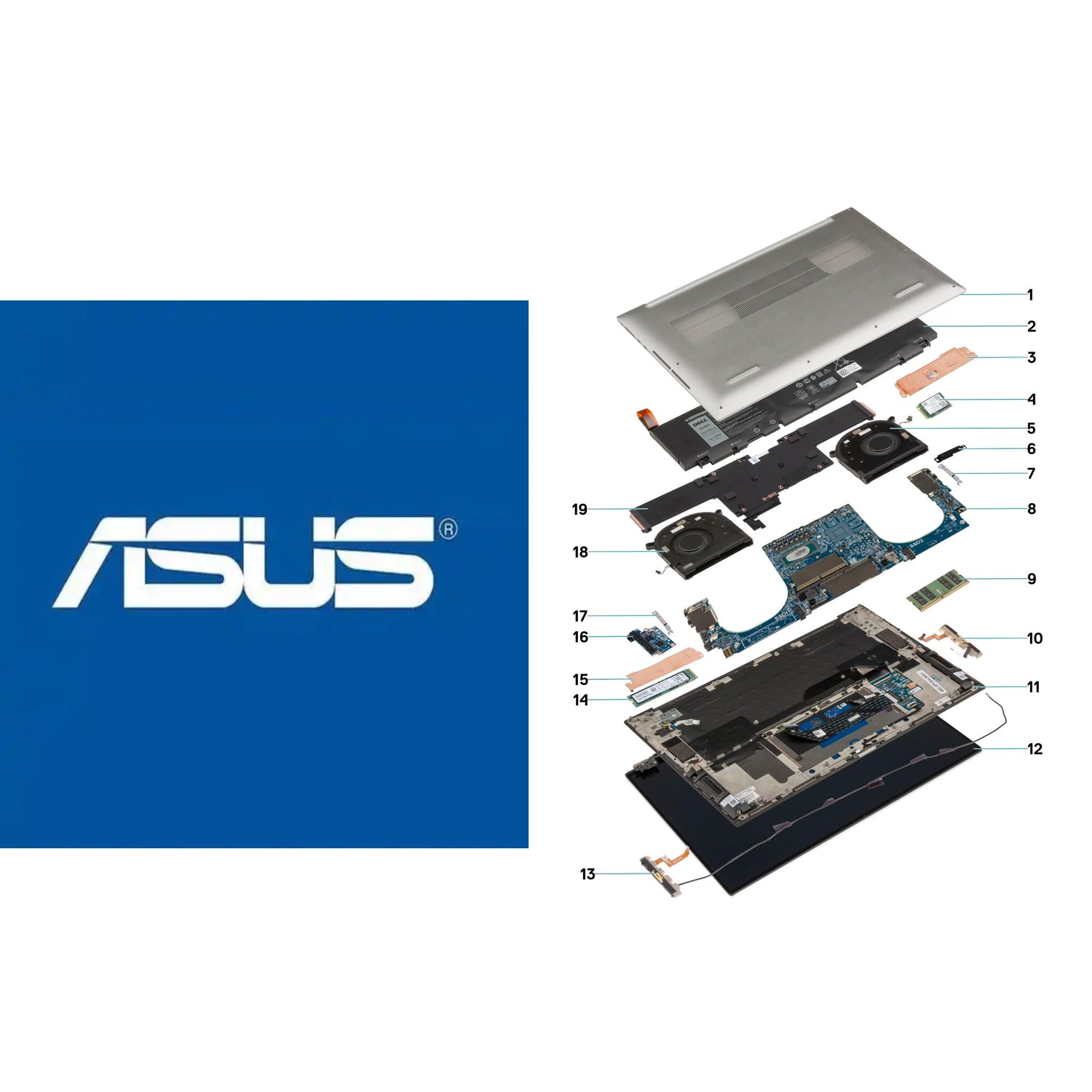For Asus