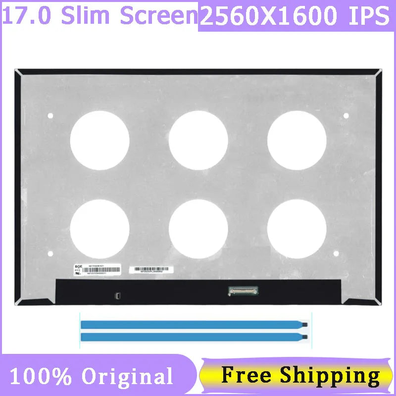 Slim 17.0'' 40 Pin Laptop Screen NE170QDM-NZ1 NE170QDM NZ1 QHD 2560x1600 IPS Display 240Hz 100% SRGB Matrix Panel